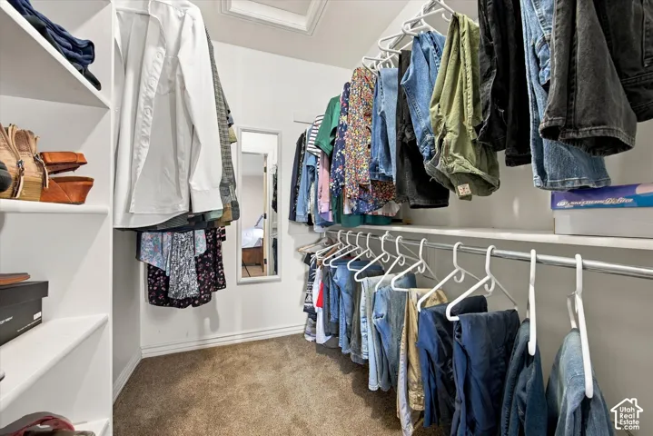 Walk-in closet featuring floor-to-ceiling built-in shelving, multiple hanging rods, and a wall-mounted mirror