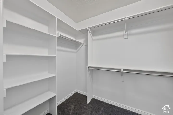 Primary bedroom walk-in closet featuring white built-in shelving, dual-tier metal garment rods, and carpeted flooring