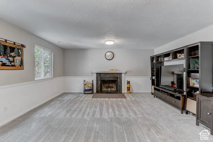 Fireplace with a stone surround, white wainscoting, and neutral wall-to-wall carpeting