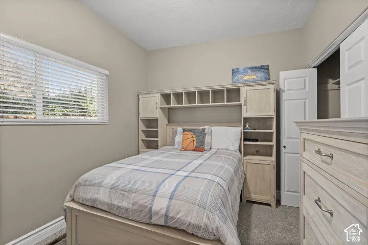 Built-in light-wood cabinetry with integrated shelving, horizontal blind window treatment, and closet with a six-panel door