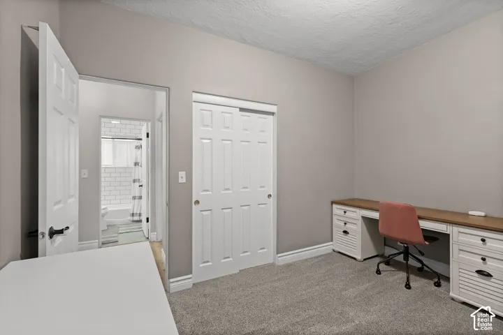 Neutral-toned interior space featuring wall-to-wall carpeting and a built-in six-panel sliding closet door
