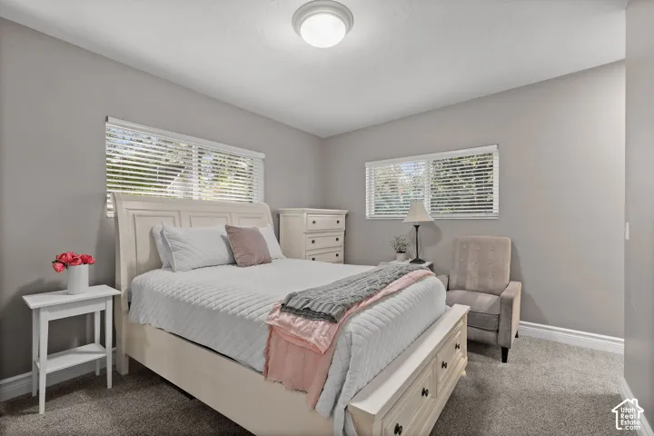 Neutral-toned interior room with dual windows featuring horizontal blinds, wall-to-wall carpeting, and a central flush-mount ceiling fixture