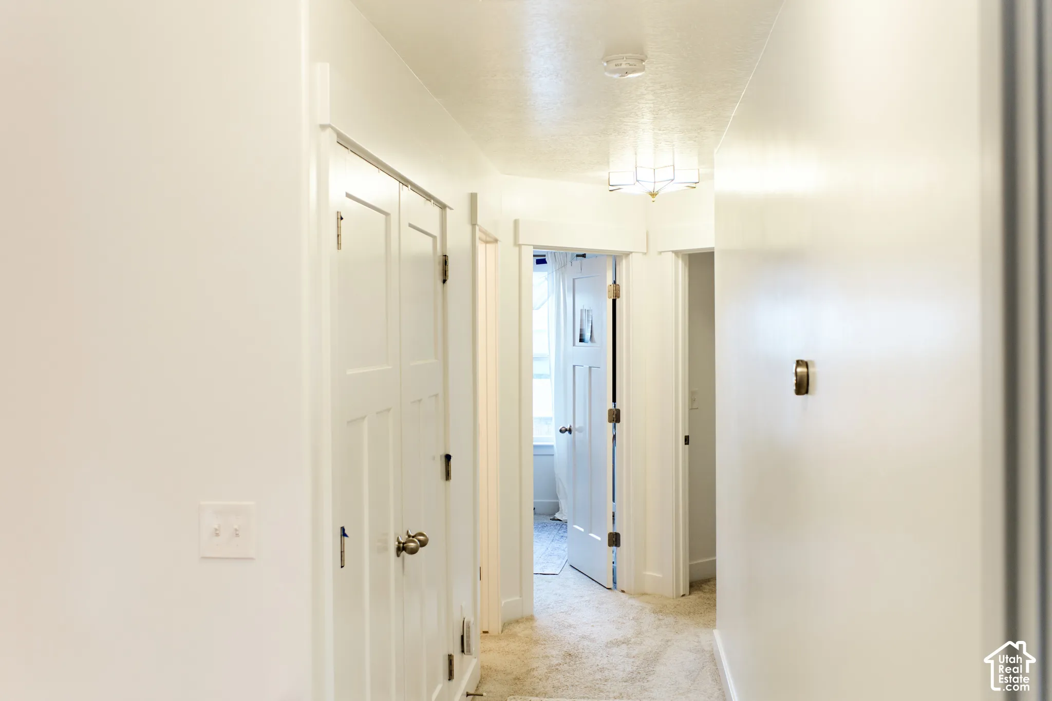 Hallway featuring white panel doors with brushed nickel hardware, neutral carpeting, and a flush-mount light fixture
