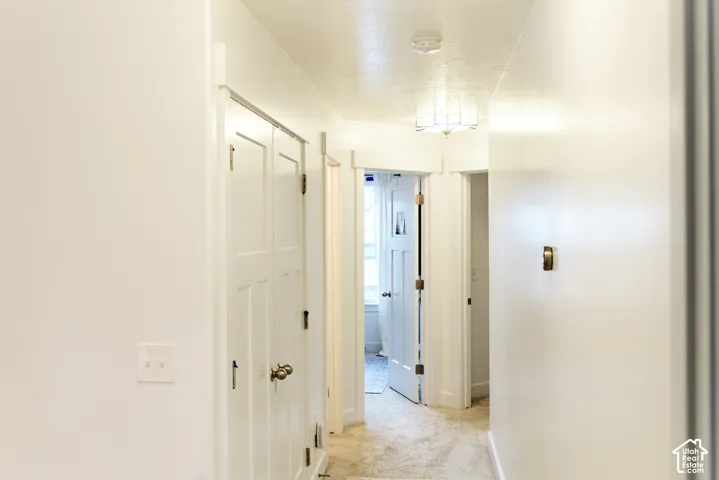 Hallway featuring white panel doors with brushed nickel hardware, neutral carpeting, and a flush-mount light fixture