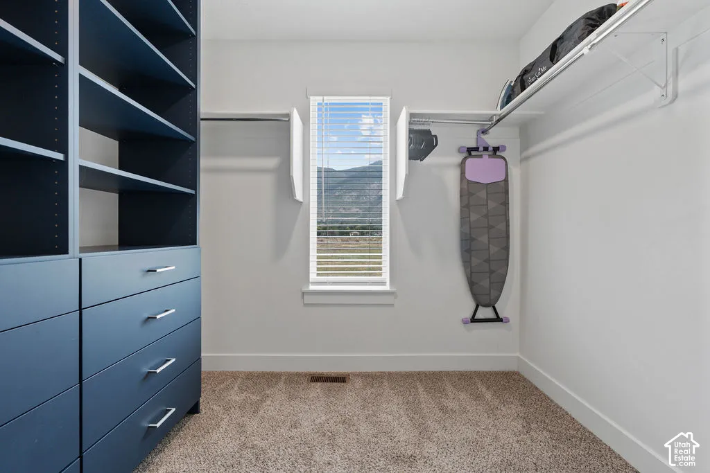 Custom walk-in closet featuring floor-to-ceiling dark blue cabinetry, integrated dresser drawers, multi-tier shelving, wall-mounted racks, and a window with mountain scenery