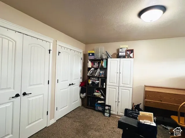 Double closet with arched two-panel doors and matte black hardware, built-in white cabinetry with shaker-style detailing, and a flush-mount overhead light fixture