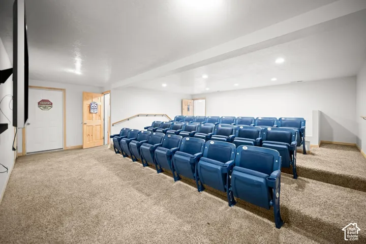 Multi-tiered carpeted flooring, recessed lighting, and built-in tiered seating