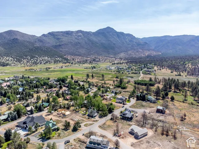 Aerial perspective of the residential area showcasing mountain range backdrop, diverse topography, mature evergreen trees, and established paved road network