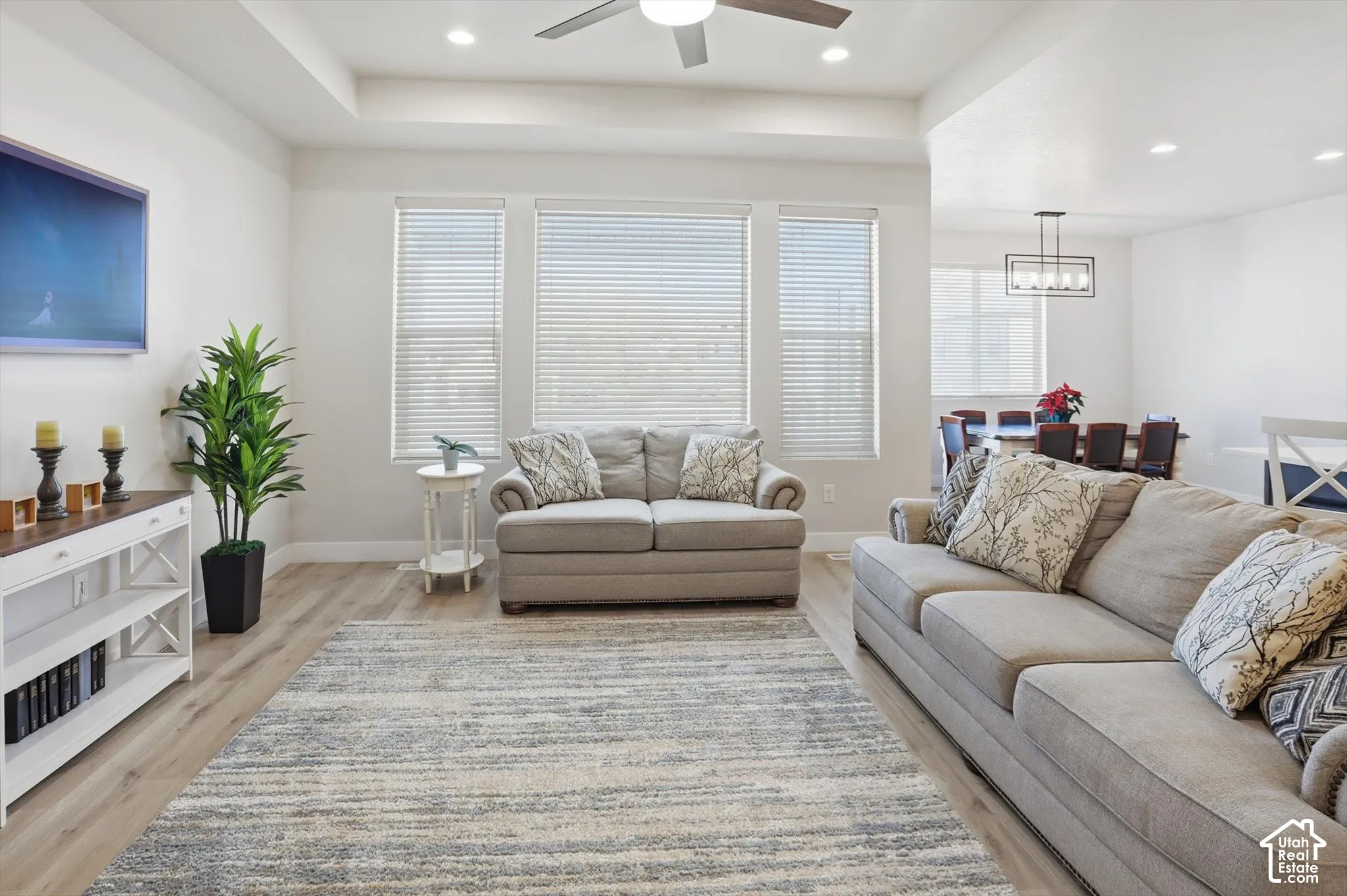 Living area featuring a tray ceiling, recessed lighting, wood-finish flooring, and triple windows with horizontal blinds