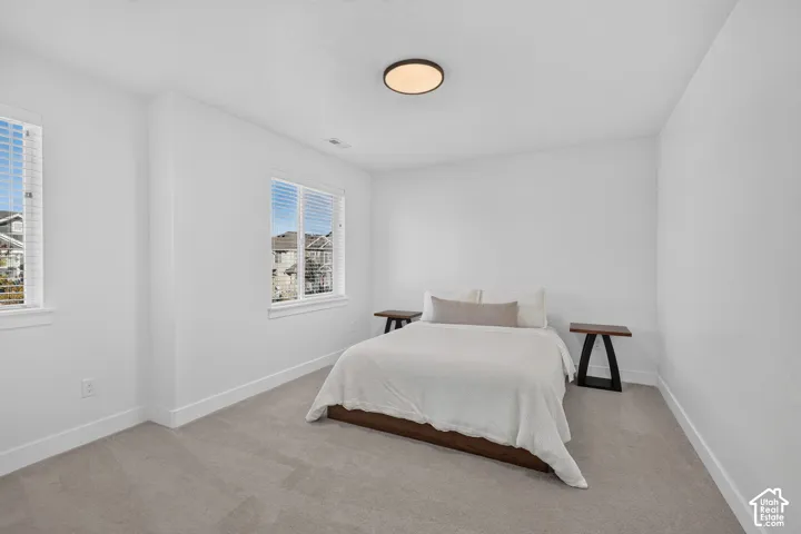 Neutral-toned carpeted flooring, two double-pane windows, and a flush-mount ceiling light fixture