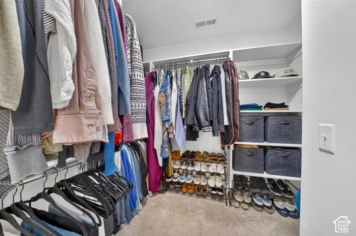 Walk-in closet featuring multi-level hanging rods, built-in shelving, and carpeted flooring