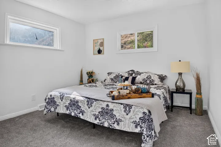 Bedroom featuring neutral wall paint, plush carpeting, and two slider windows