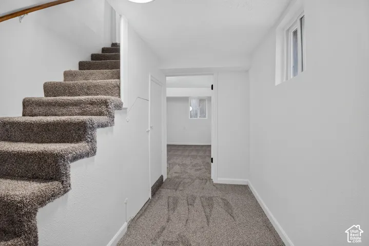 Carpeted staircase with wooden handrail, neutral interior paint, and inset windows
