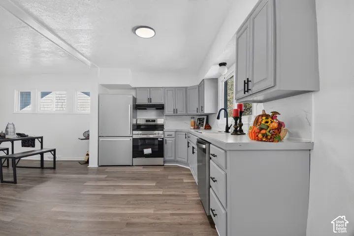 Kitchen featuring light gray shaker-style cabinetry, stainless steel appliances, matte black hardware, and wood-finish flooring