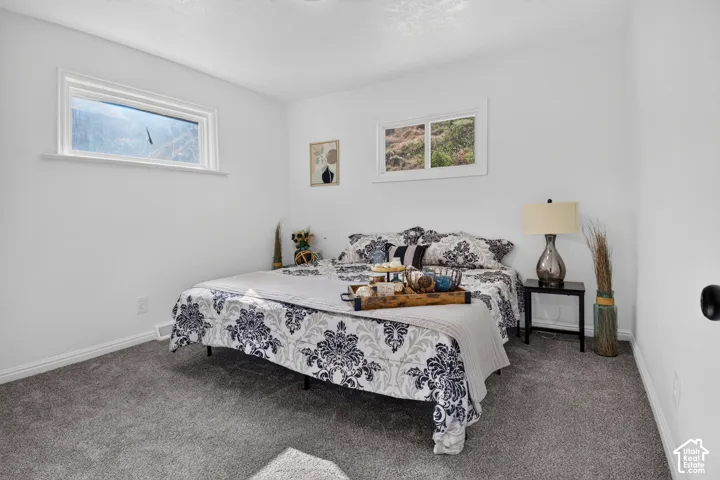 Neutral-toned interior featuring grey carpeting, two dual-pane sliding windows, and white walls