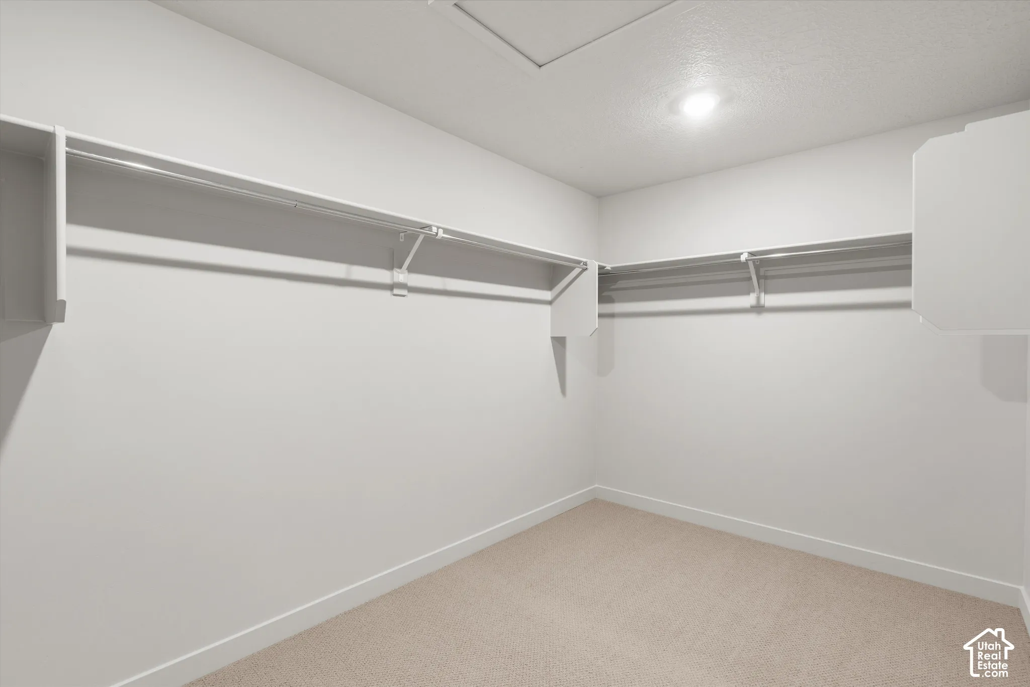 Walk-in closet featuring neutral carpeting, ceiling-mounted lighting, and dual-level built-in shelving