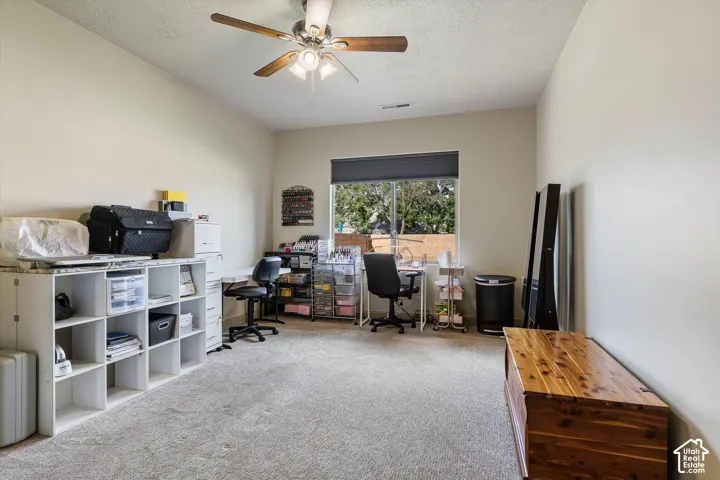Neutral wall tones, wall-to-wall carpeting, ceiling fan with integrated lighting, and a large window with roller shade