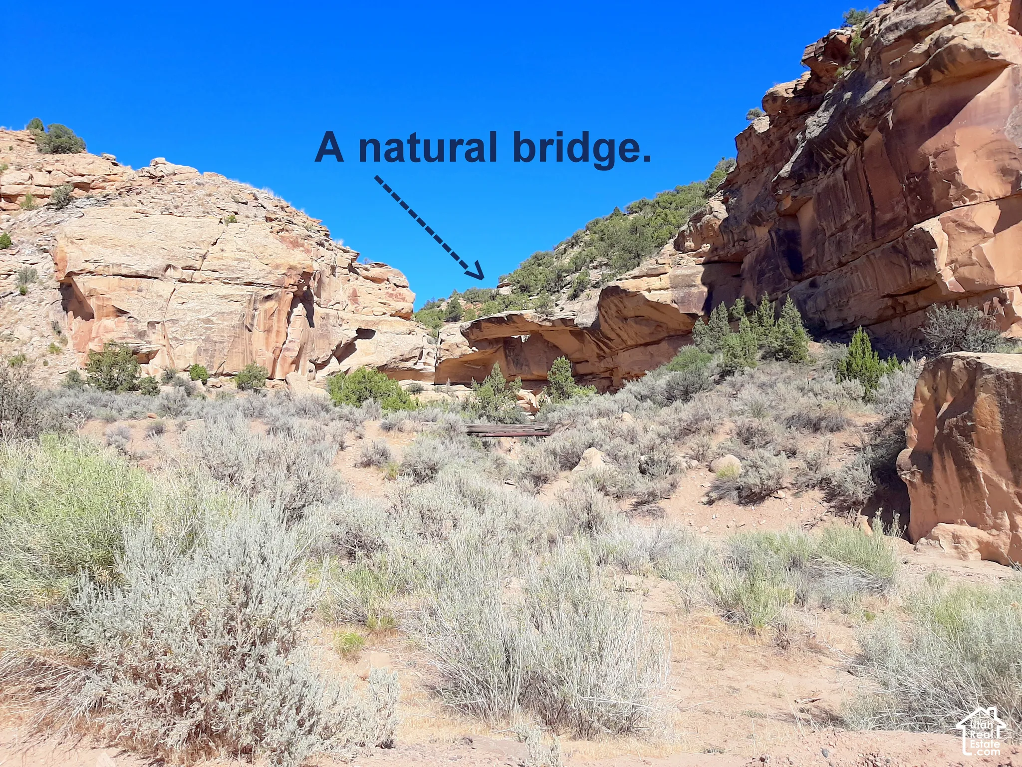 Rugged desert landscape featuring a natural rock bridge, sandstone formations, and native scrub brush