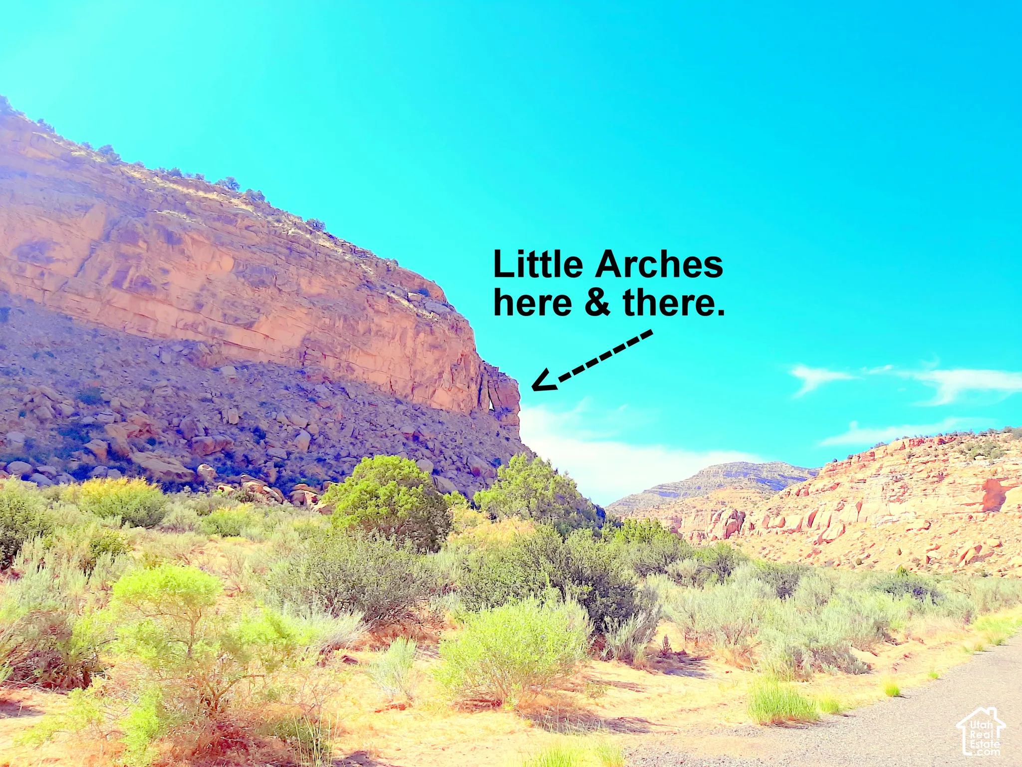 Expansive desert landscape featuring natural rock formations, geological arches, and native vegetation
