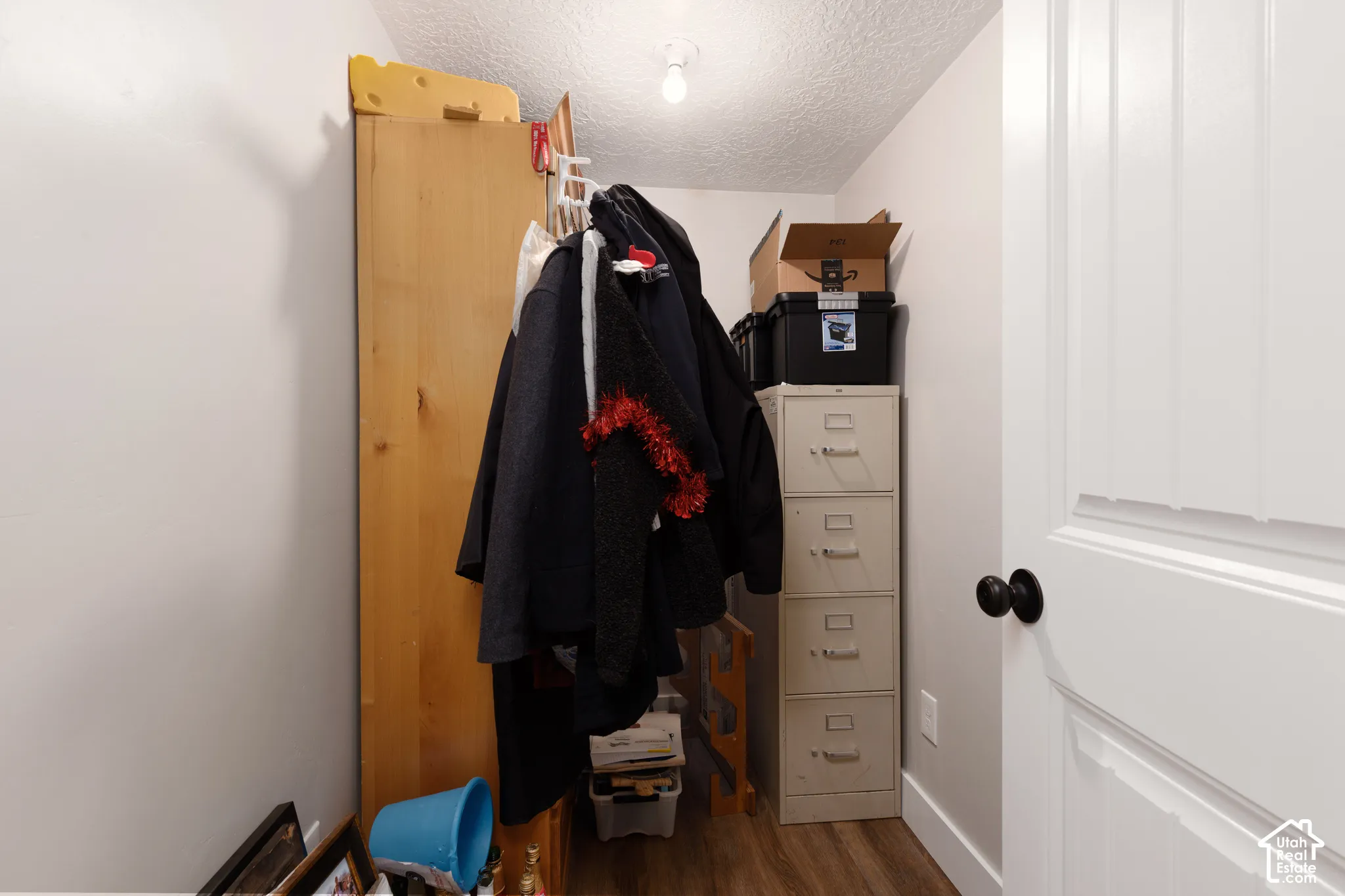 Interior storage space featuring wood-finish flooring and a white paneled door with a round black knob