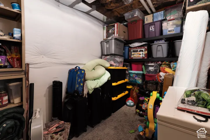 Storage area featuring built-in industrial shelving units and carpeted flooring