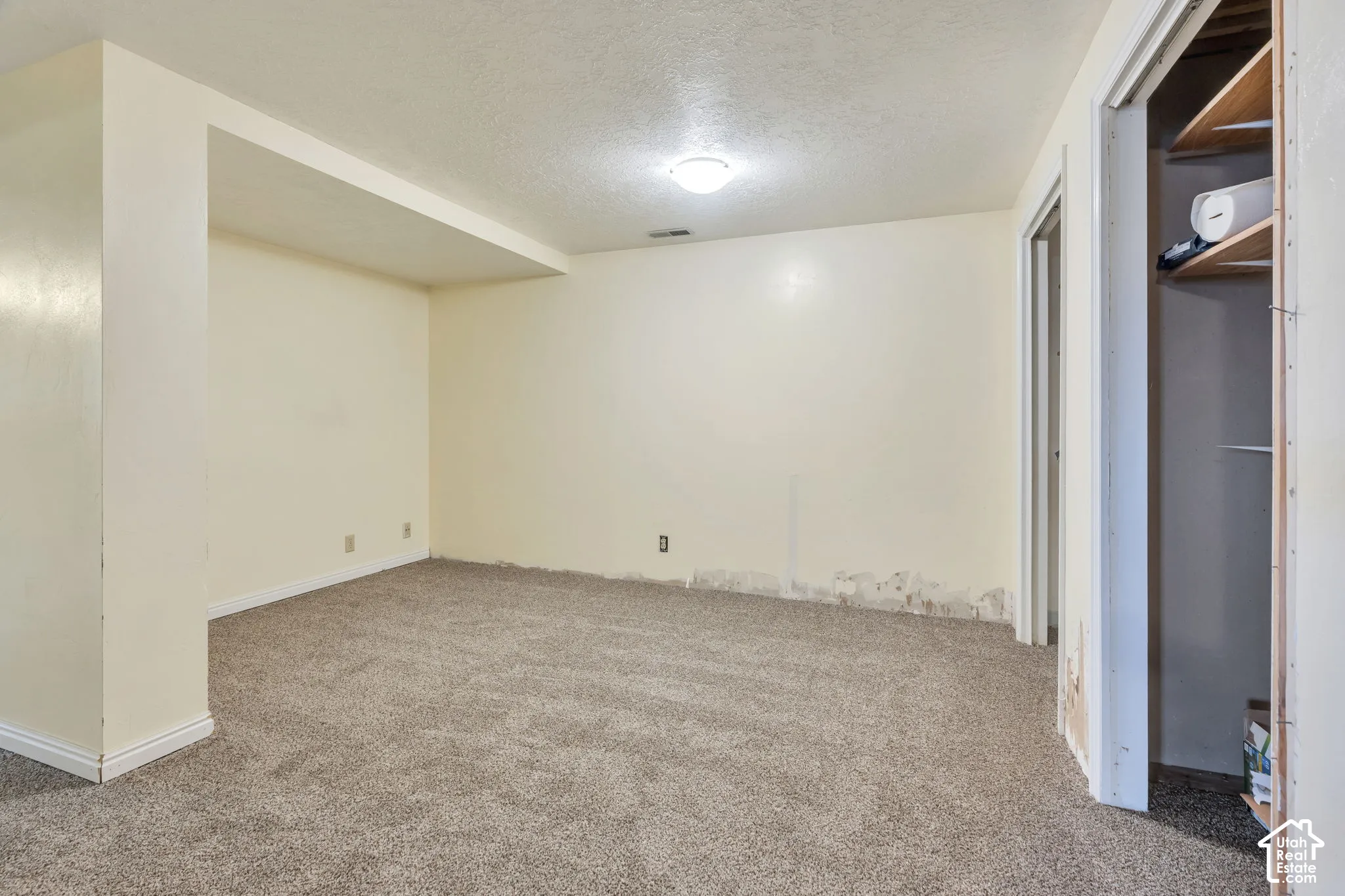 Neutral-toned interior space featuring wall-to-wall carpeting, a recessed ceiling section, and a built-in closet with integrated shelving