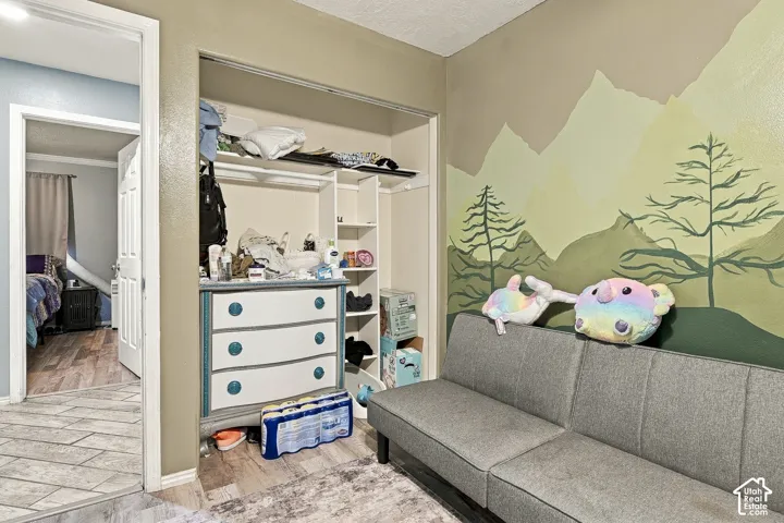 Reach-in closet featuring white built-in shelving, mountain mural accent wall, and wood-finish flooring