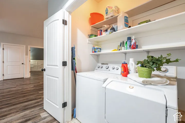 Laundry closet featuring tiered open shelving and wood-finish flooring
