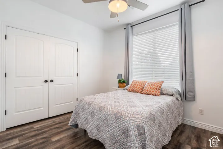 Wood-finish flooring, double-door closet with raised-panel detailing, oversized window with horizontal blinds, and ceiling fan with integrated light fixture