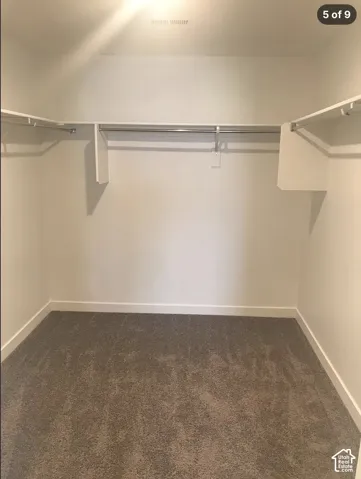 Walk-in closet featuring neutral carpeting and built-in tiered shelving with integrated hanging rods