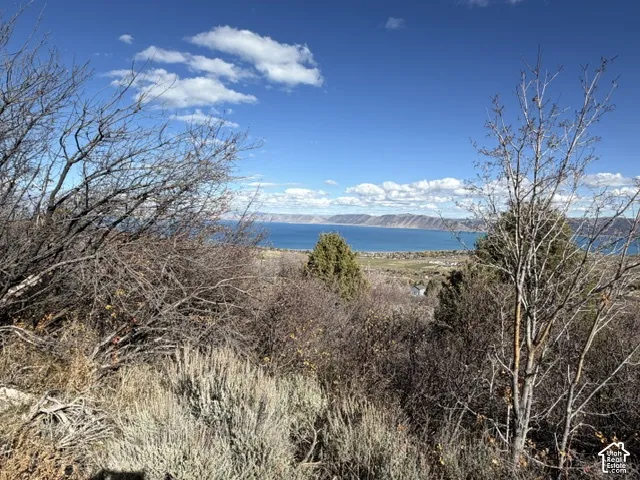 Expansive hillside lot featuring native shrubbery, mature trees, and natural terrain with a prominent water backdrop and mountain horizon