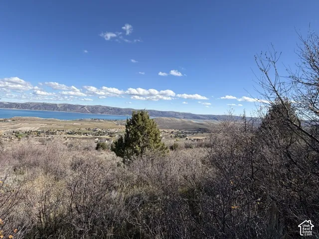Elevated lot featuring mountain terrain, native brush, mature juniper trees, and expansive water frontage