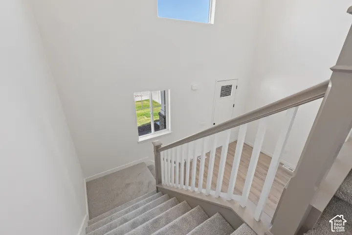 Staircase featuring neutral carpeting, a painted wood railing with white balusters, high ceilings, large windows, and wood-finish flooring