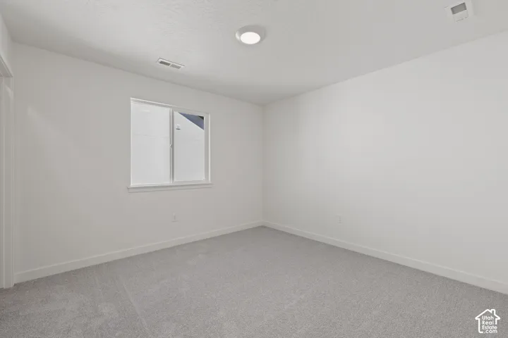 Neutral-toned wall paint, plush carpeted flooring, a single-pane sliding window, and a flush-mount ceiling light fixture