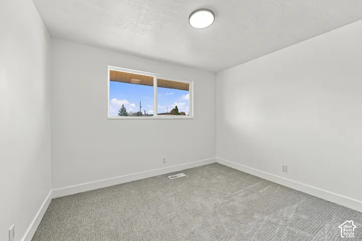 Neutral-toned wall-to-wall carpeting, crisp white walls, sliding window, and flush-mount ceiling lighting