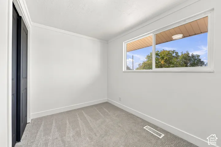 Neutral interior room featuring neutral-toned carpeting, white walls, crown molding, a large sliding window, and a dark-toned door