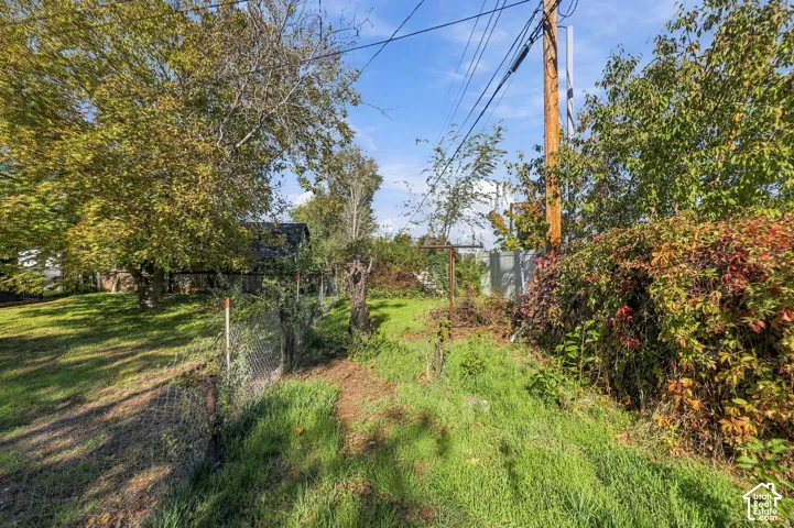Expansive outdoor space featuring mature trees, perimeter chain-link fencing, and established ground cover