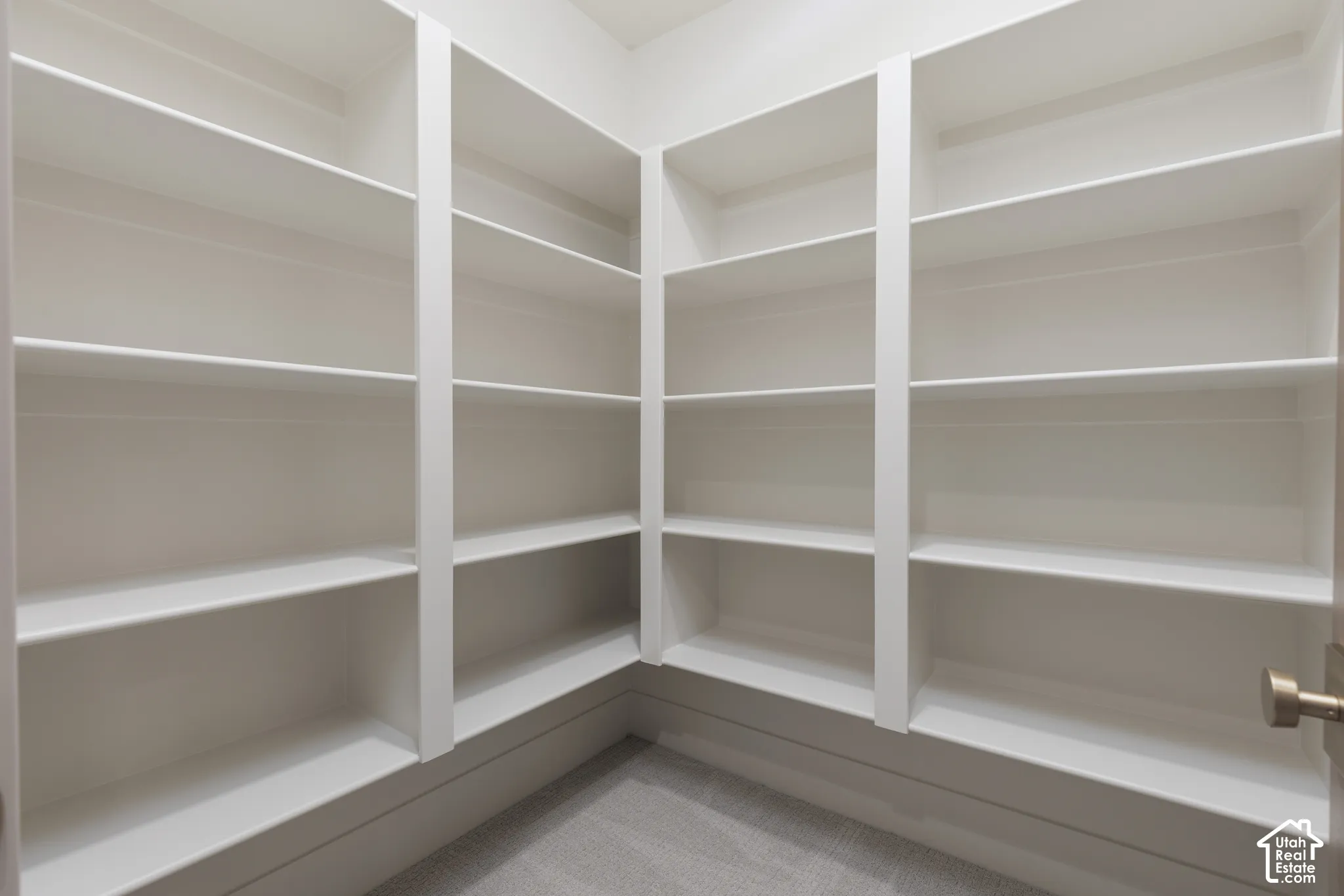 Built-in white shelving with multiple storage levels and carpeted flooring