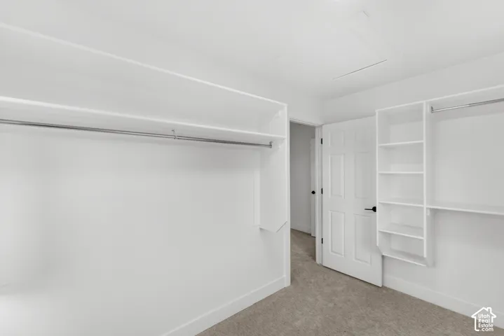 Walk-in closet featuring white custom built-in shelving, hanging rods, six-panel interior door, and carpeted flooring