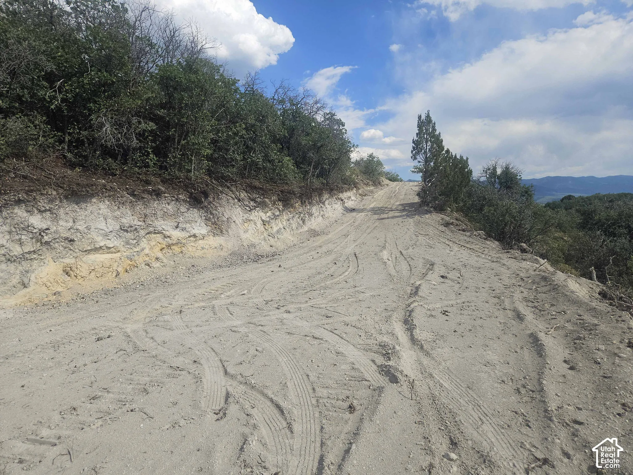 Unimproved earthen access road bordered by native vegetation and rock outcroppings, featuring mountain silhouettes on the horizon