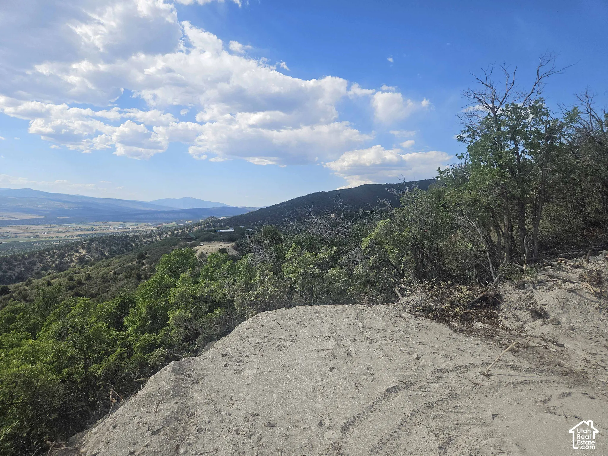 Elevated terrain featuring native trees, natural rock outcroppings, and expansive mountain scenery