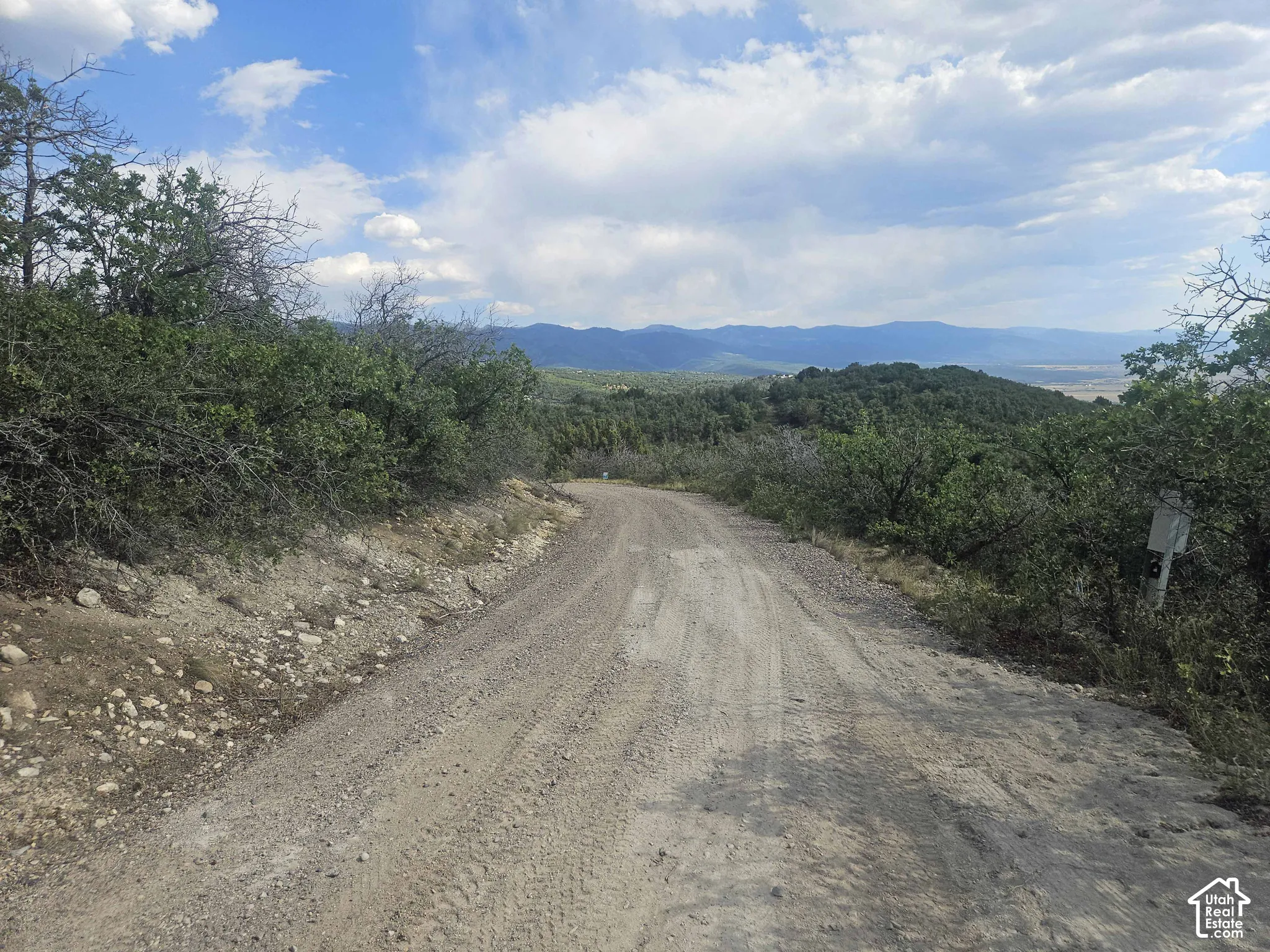 Unpaved road surrounded by native shrubbery, trees, and expansive mountain scenery