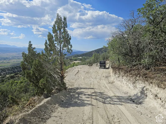 Expansive natural landscape featuring rugged terrain, mature evergreen trees, indigenous foliage, and distant mountain topography