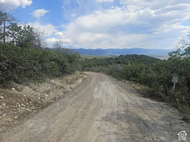 Unpaved road surrounded by native shrubbery, trees, and expansive mountain scenery