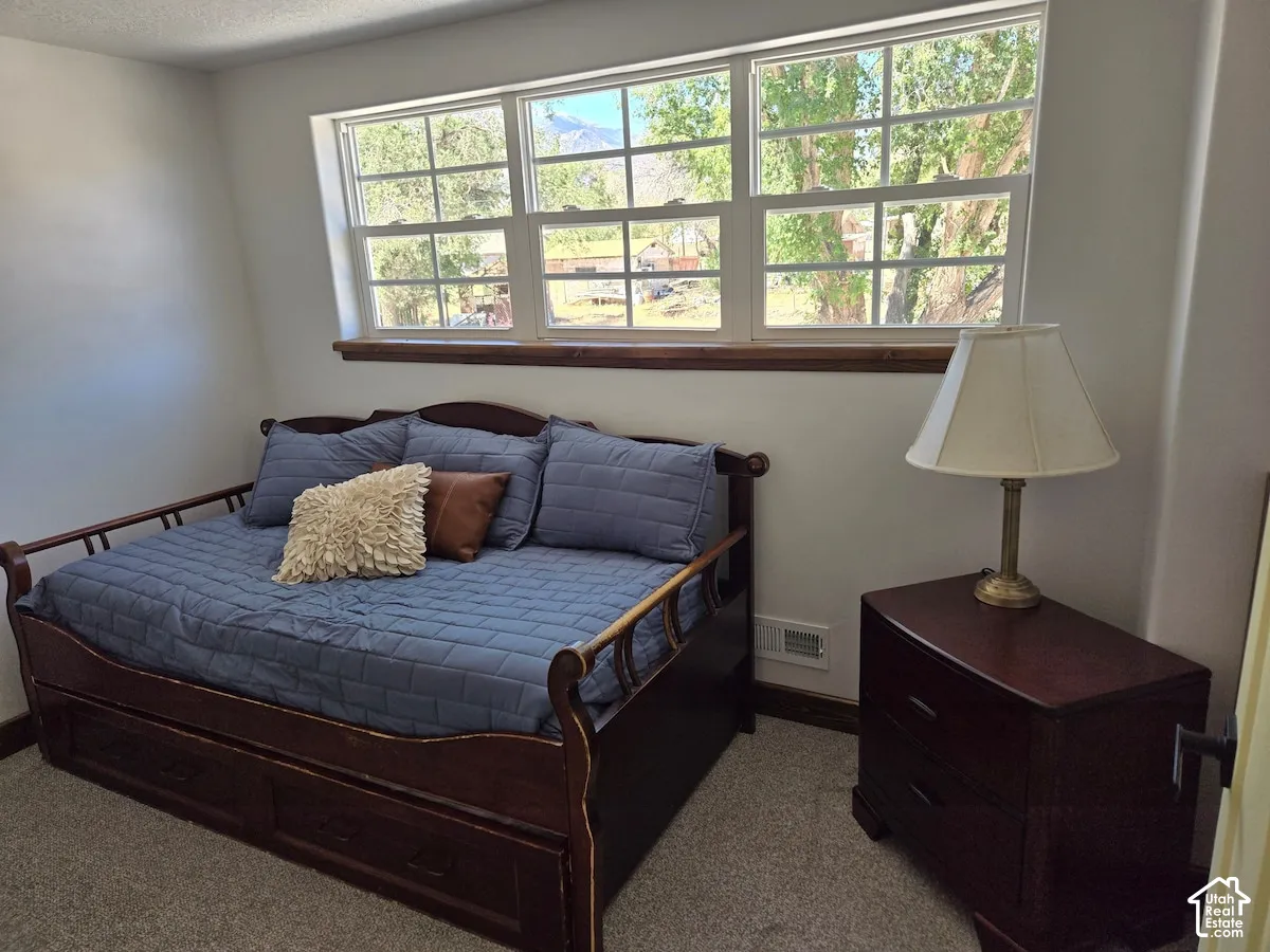 Neutral-toned carpeting, triple-pane window with grid detailing, and stained-wood sill