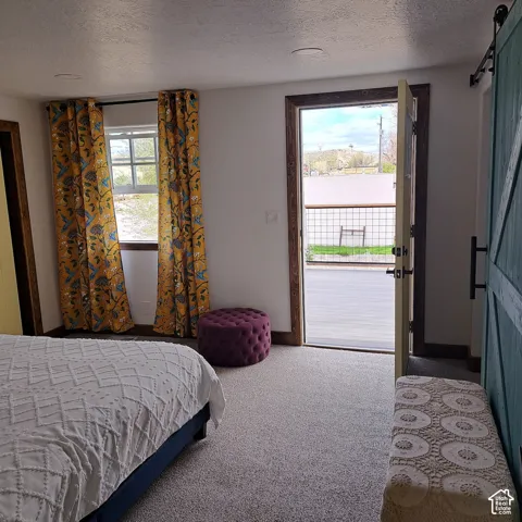 Room featuring neutral wall-to-wall carpeting, a teal sliding barn door with black hardware, and a door providing exterior access to a deck with wire railing