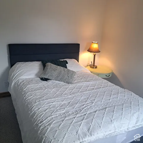 Wall-to-wall carpeting and neutral wall paint