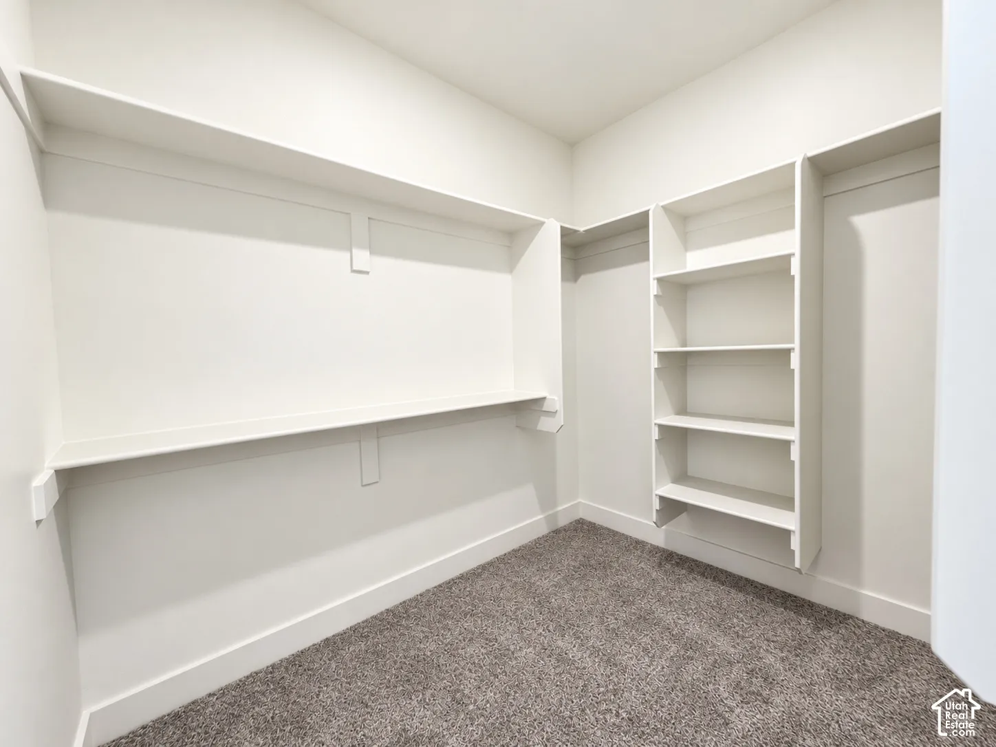 Walk-in closet featuring floor-to-ceiling built-in shelving, elevated hanging rods, and neutral carpet flooring