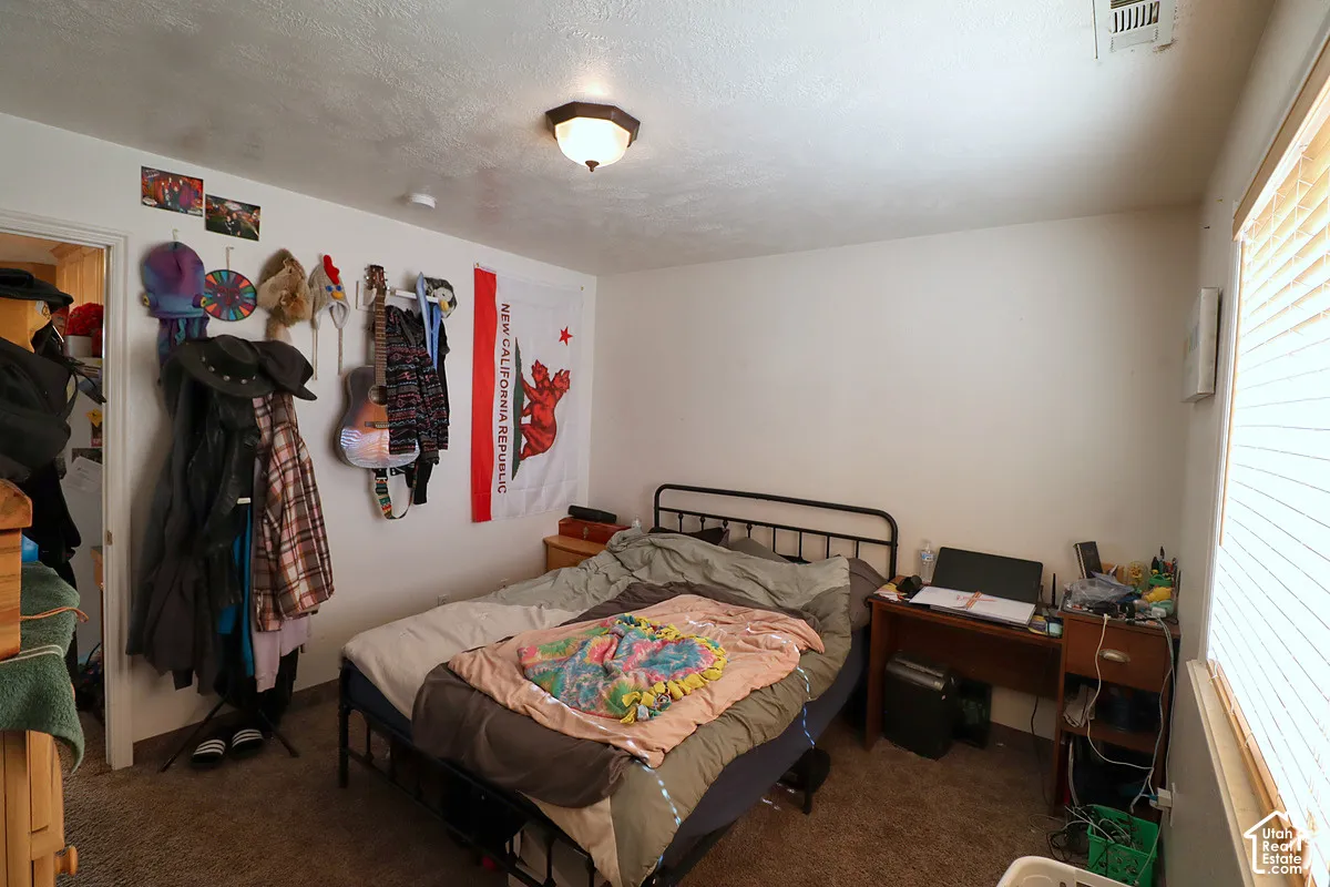 Carpeted room featuring a ceiling-mounted light fixture and horizontal blind window treatment