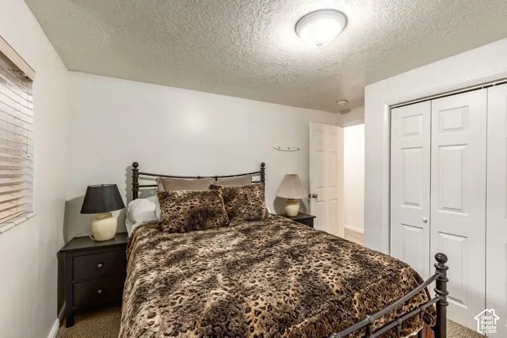 11528 S Summerfield Ln, Sandy, Utah 84092